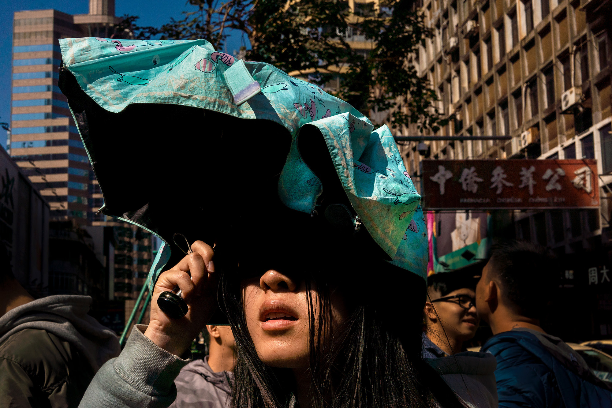 Umbrella Image
